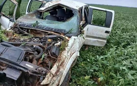 Acidente envolvendo anta deixa caminhonete destruída