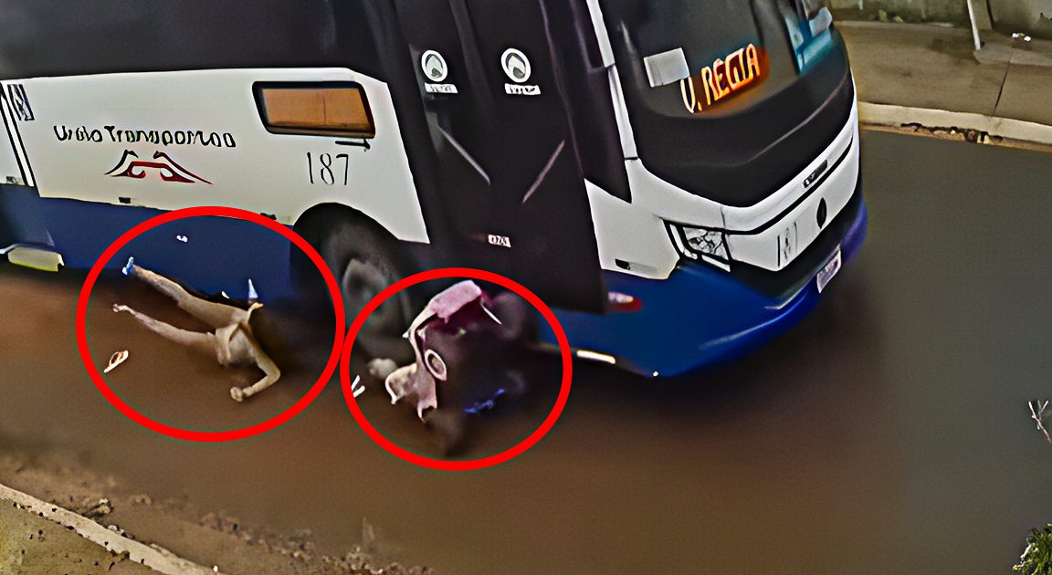 Mãe e filha escapam de tragédia em VG e acidente com ônibus expõe falhas urbanas; VEJA VÍDEO