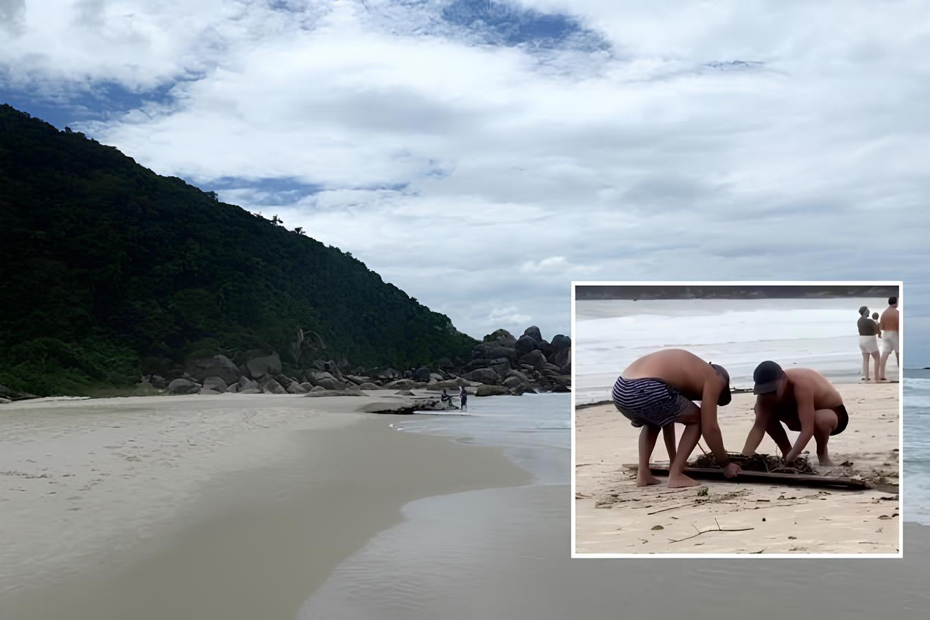Argentinos se unem para limpar praia após forte chuvas