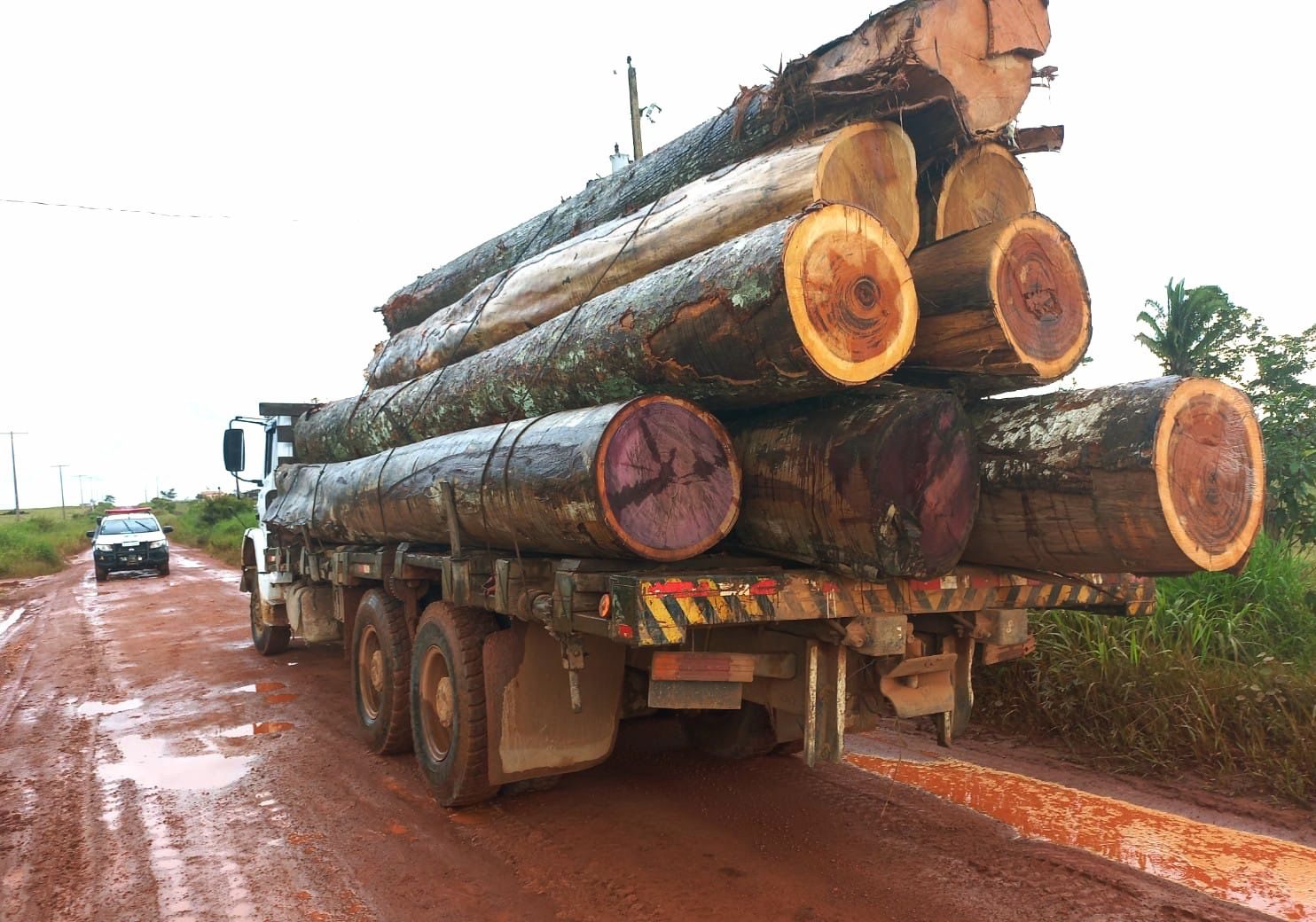 Carga de caminhão quase provoca tragédia em São Francisco do Sul; VEJA VÍDEO