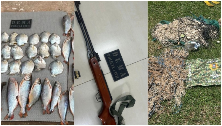 Ação combate práticas ilegais em Barão de Melgaço
