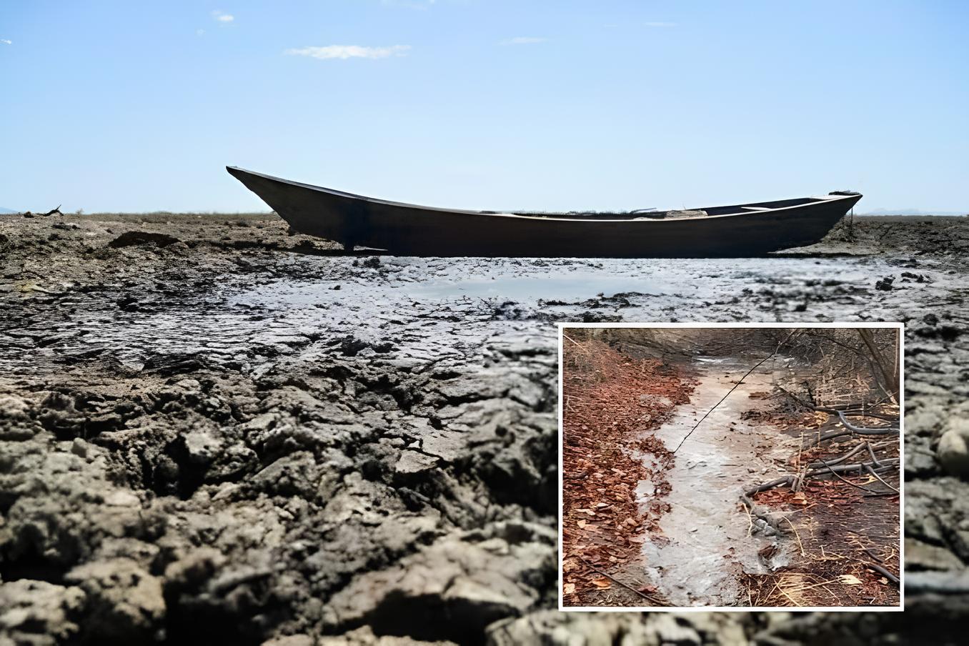 Homem comemora “volta” de rio no sertão nordestino: “seca começa a se despedir”