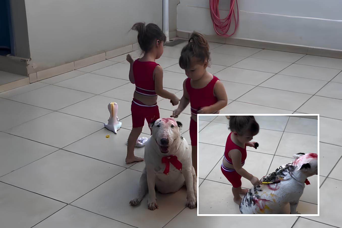 Mãe deixa as gêmeas brincando com doguinha e leva susto ao conferir as filhas