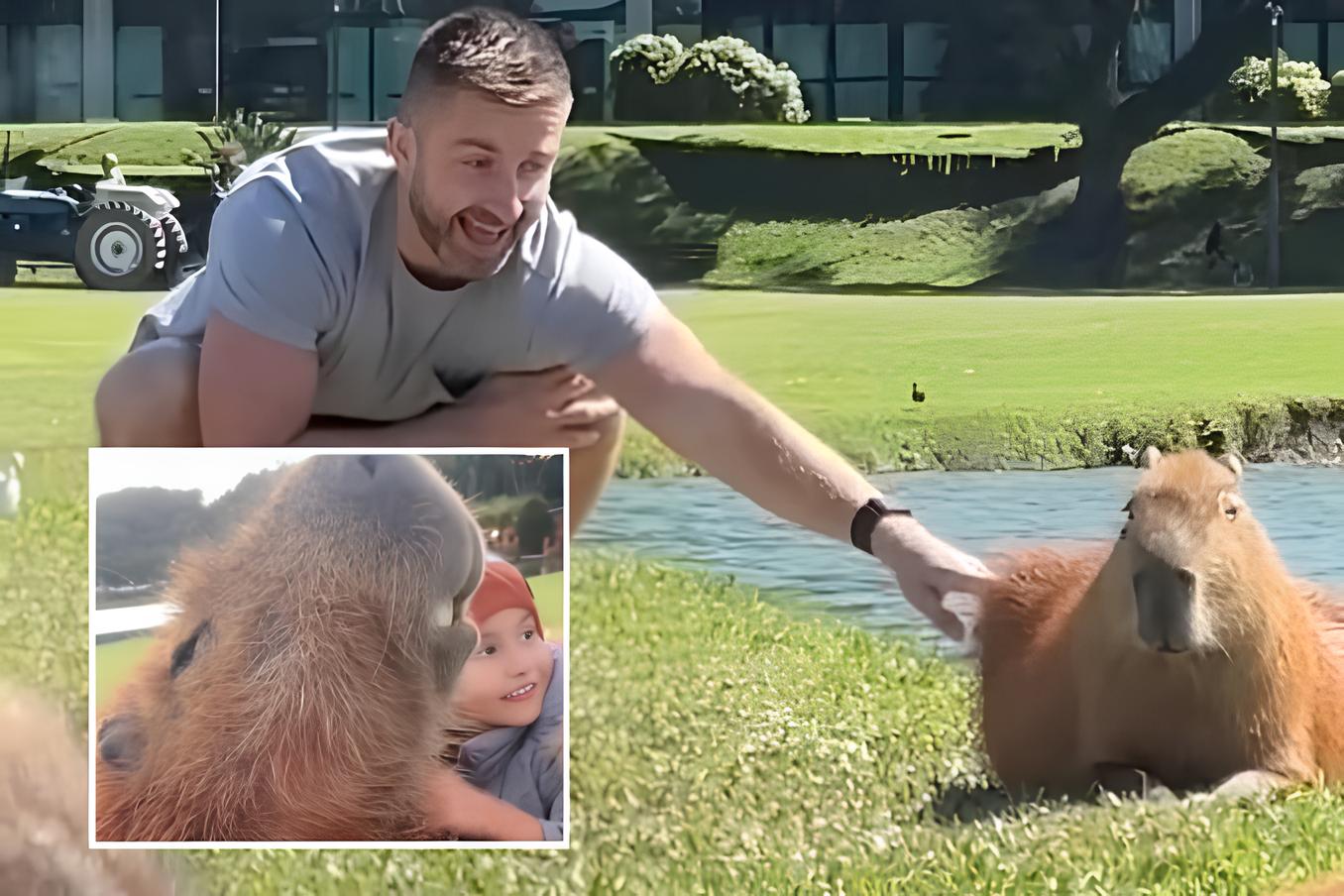 Gringo viaja até Brasil para conhecer capivaras e se apaixona pelos roedores