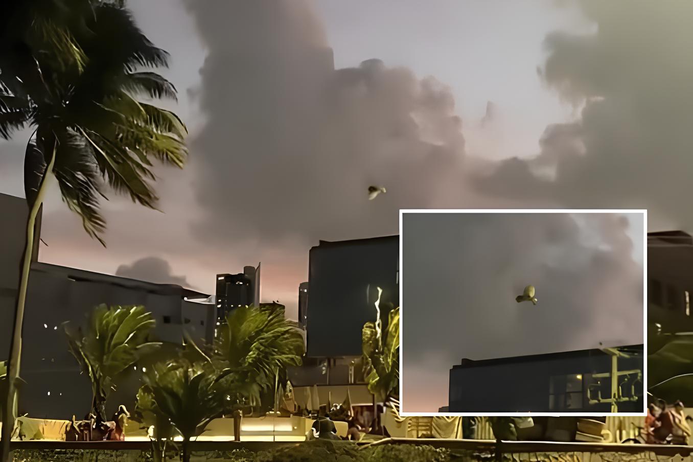 Pássaro impressiona ao “ficar parado” no ar