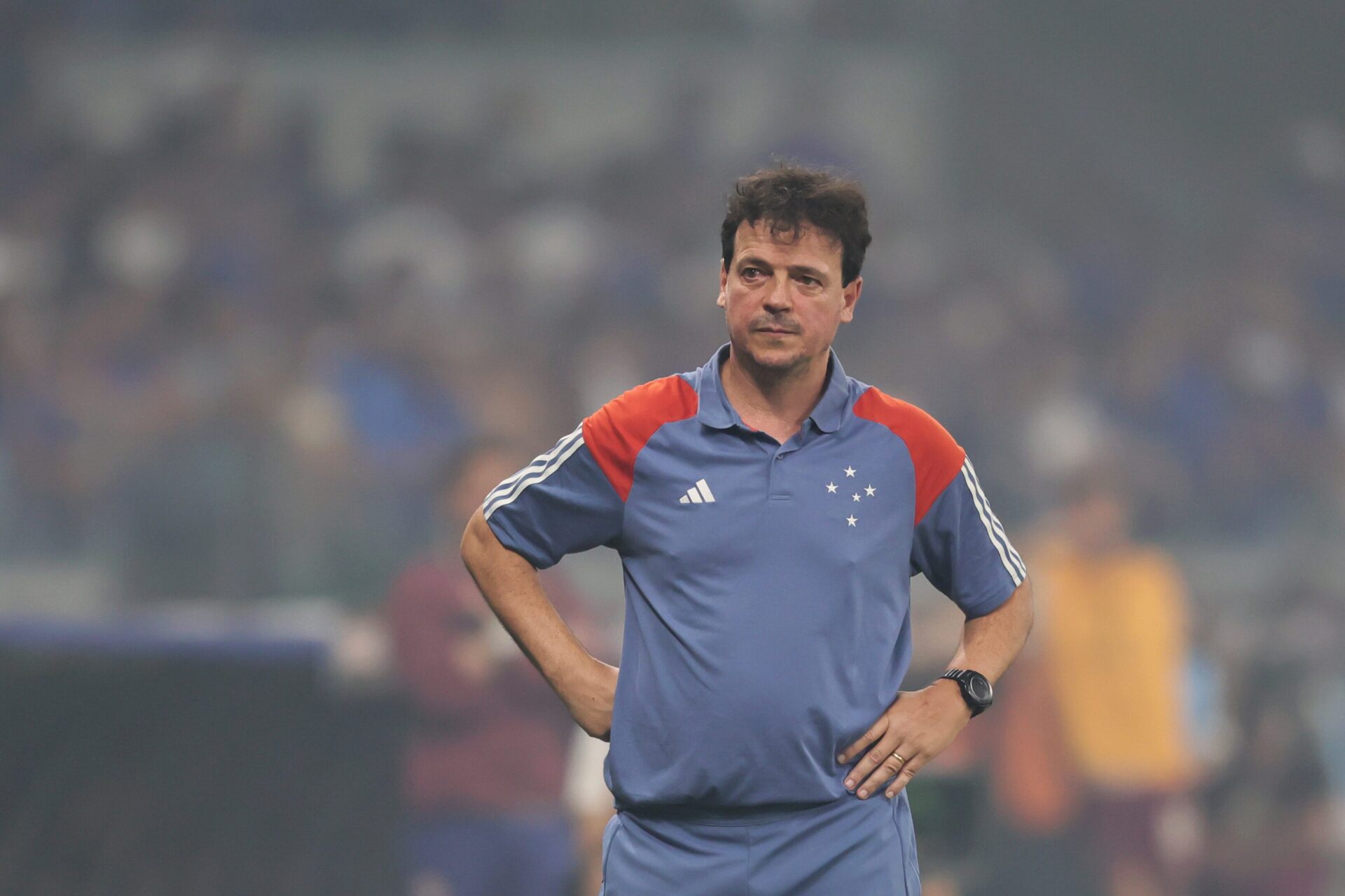 FERNANDO DINIZ