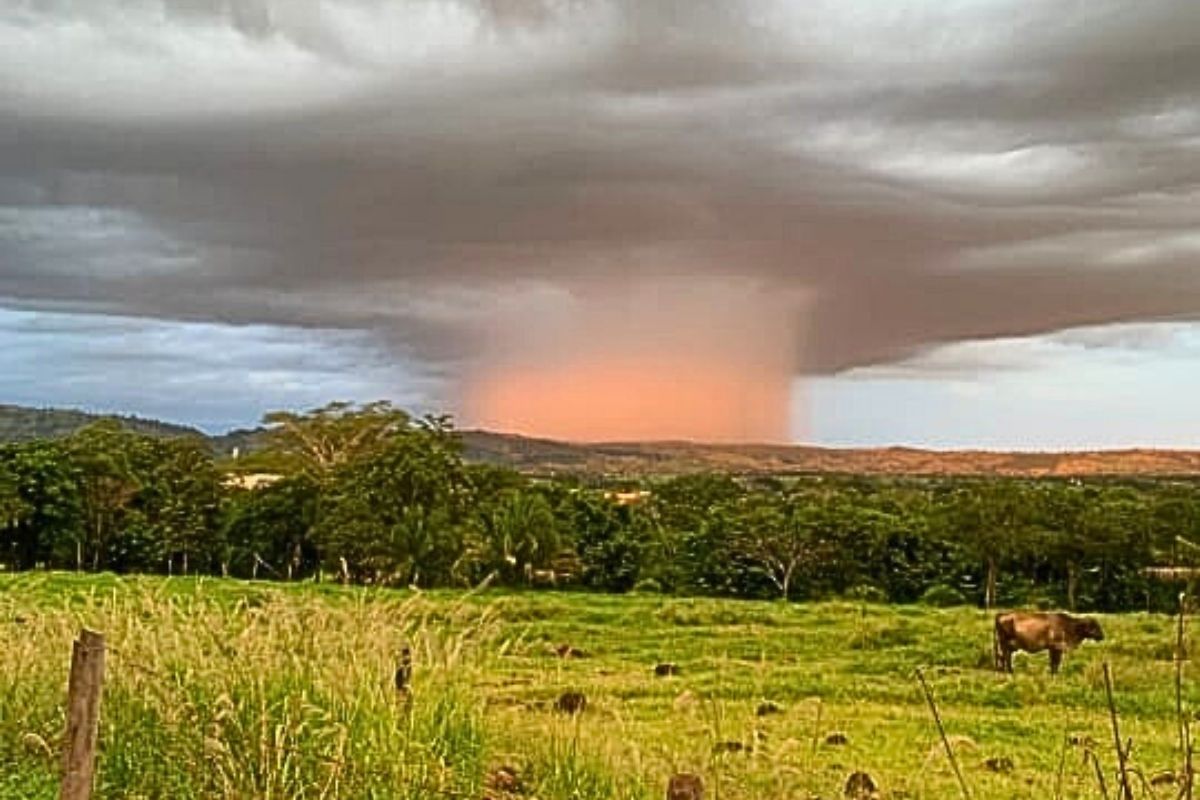 Célula de Chuva Surpreende e Encanta Moradores de MT