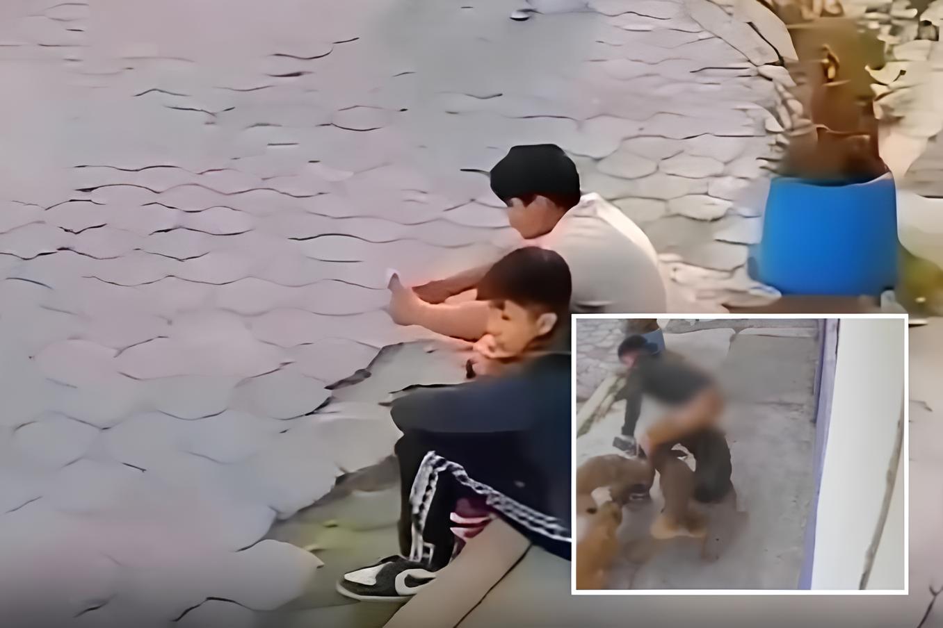 Cachorros fazem “arrastão” e deixam homem quase sem roupa