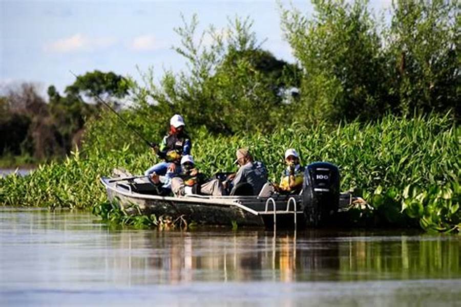 Pescadores ansiosos viram barco e levam banho hilário em Mato Grosso