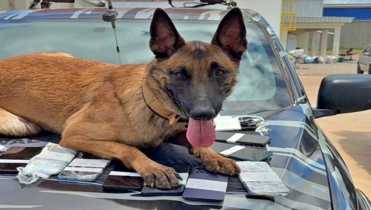 Polícia Penal apreende arsenal clandestino dentro do presídio!