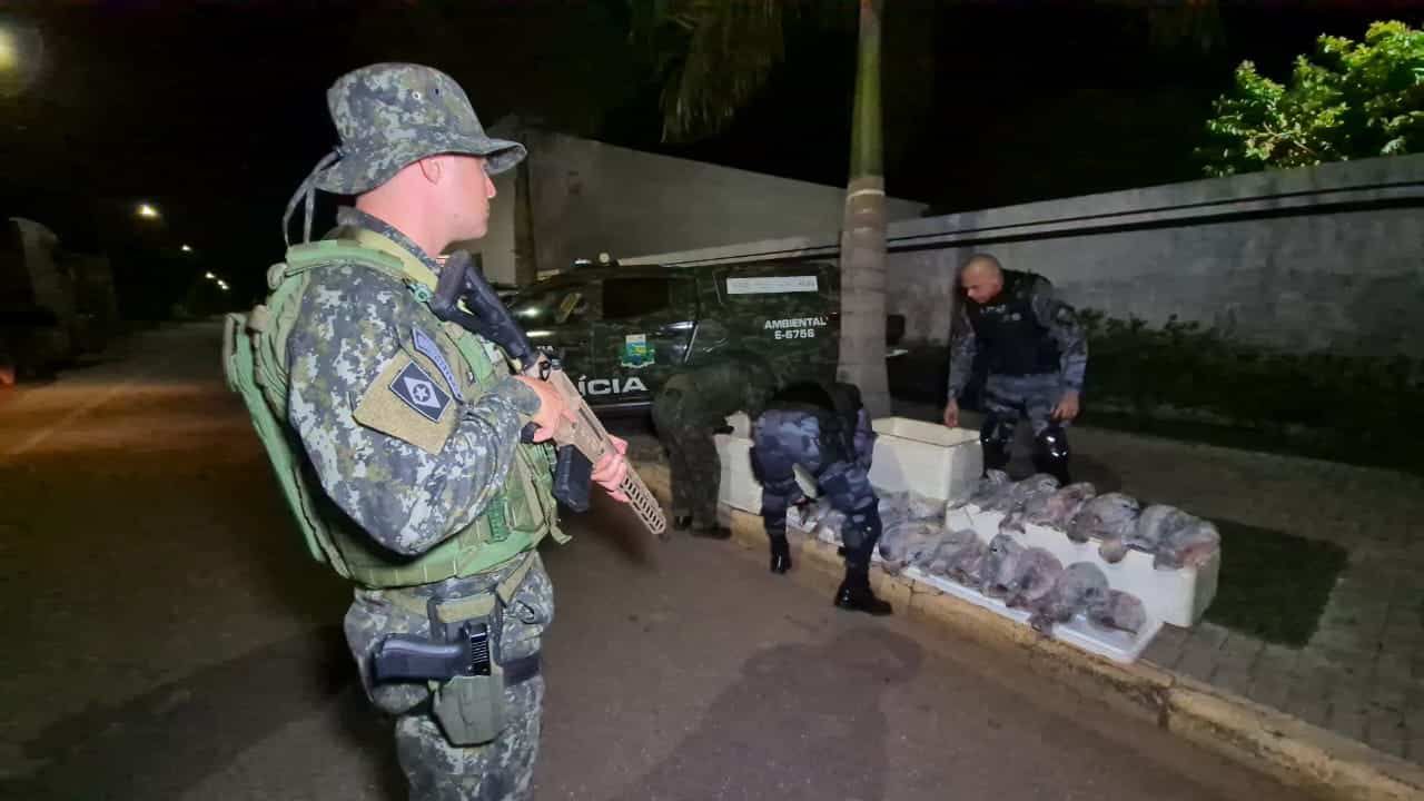 Influenciador Detido em Ação Contra Crimes Ambientais no MT