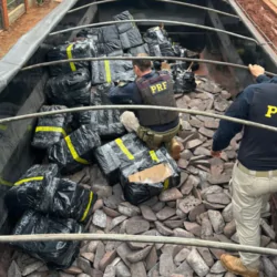 PRF apreende 2,6 toneladas de maconha na BR-163