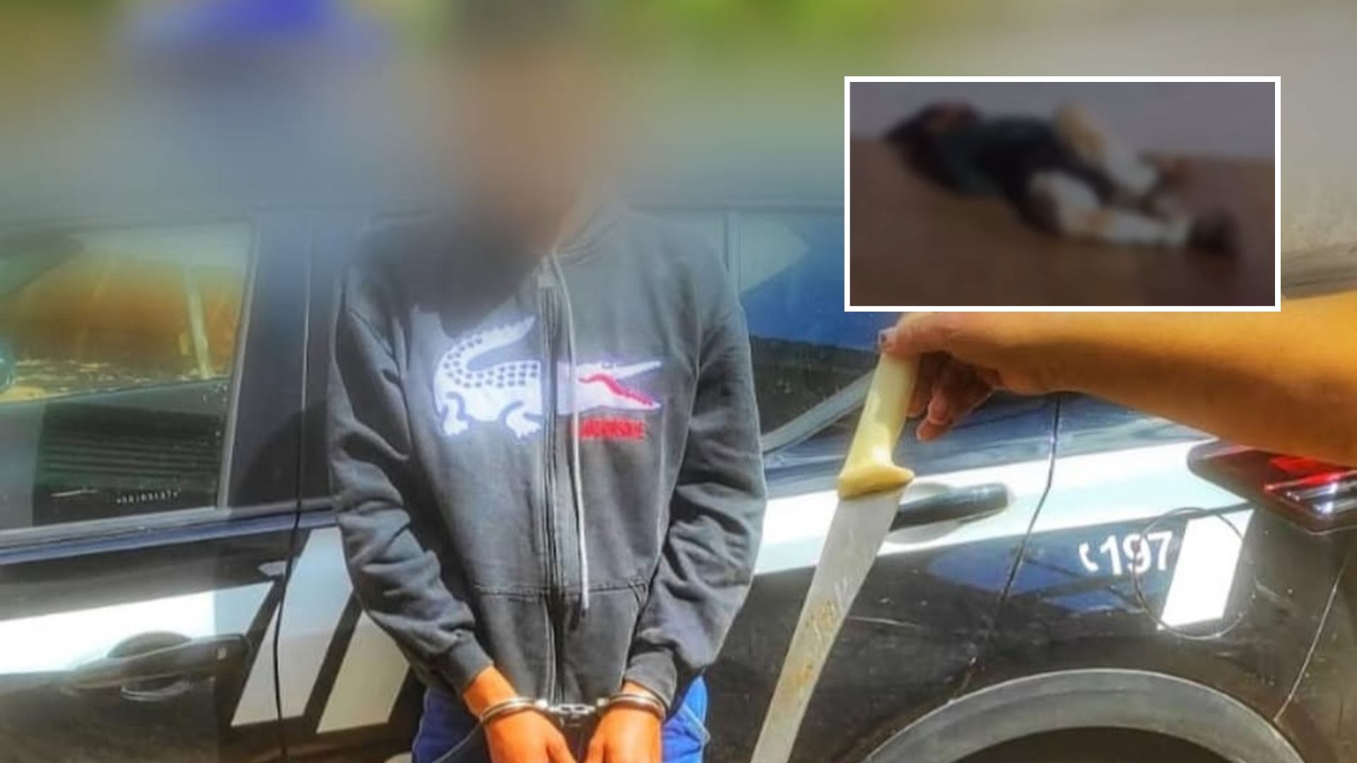 Crime em Dom Aquino: Homem é morto a facadas e suspeito é preso em flagrante; veja vídeo