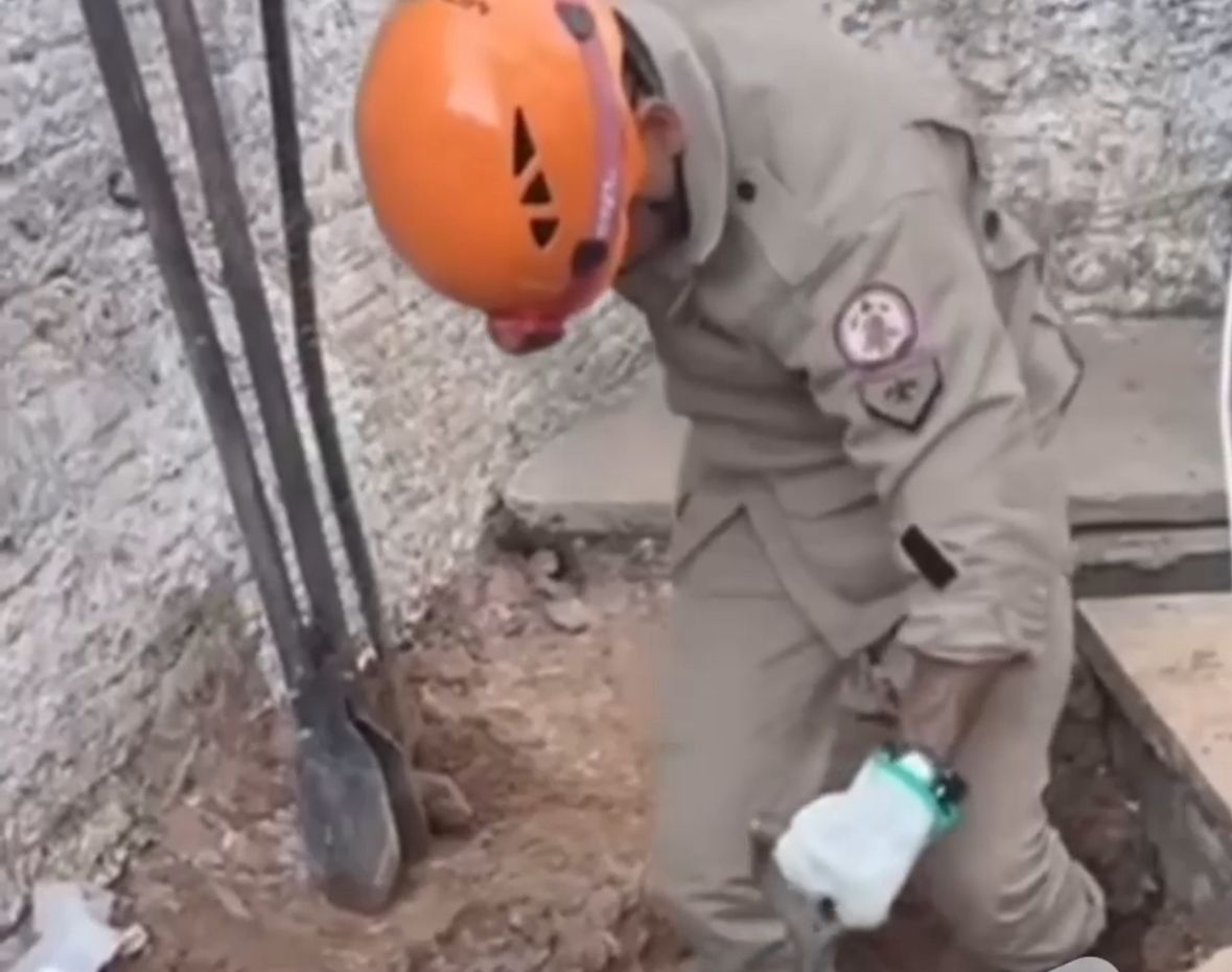 Alunos se mobilizam e bombeiros tentam resgatar filhote de gato preso em tubulação no Tijucal, em Cuiabá; Veja vídeo