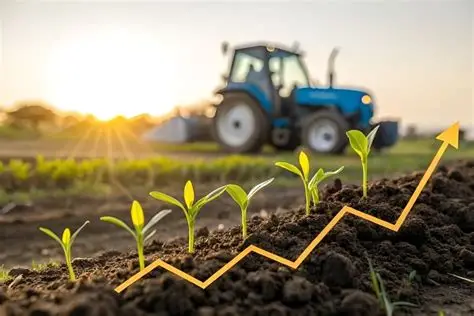 Governo lança Plano Safra da Agricultura Familiar com crédito facilitado e foco em sustentabilidade; Veja vídeo