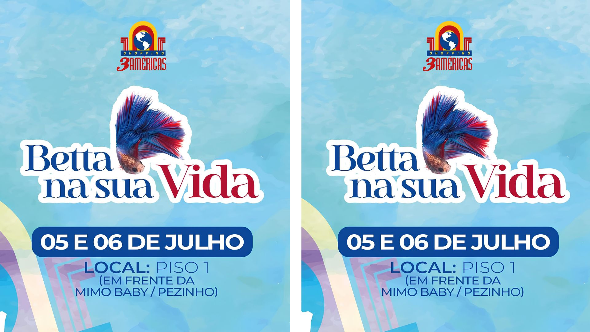 Peixinhos betta serão doados no Shopping 3 Américas em ação nos dias 5 e 6; veja vídeo