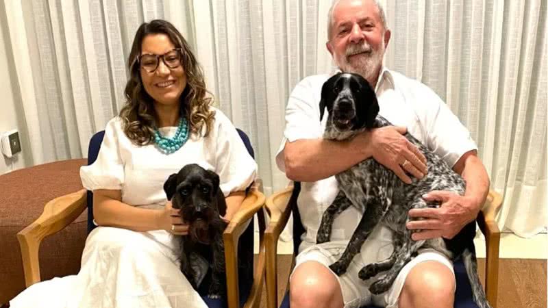 Brasil proíbe testes em animais para cosméticos e faz história com lei ética e inovadora; Veja vídeo