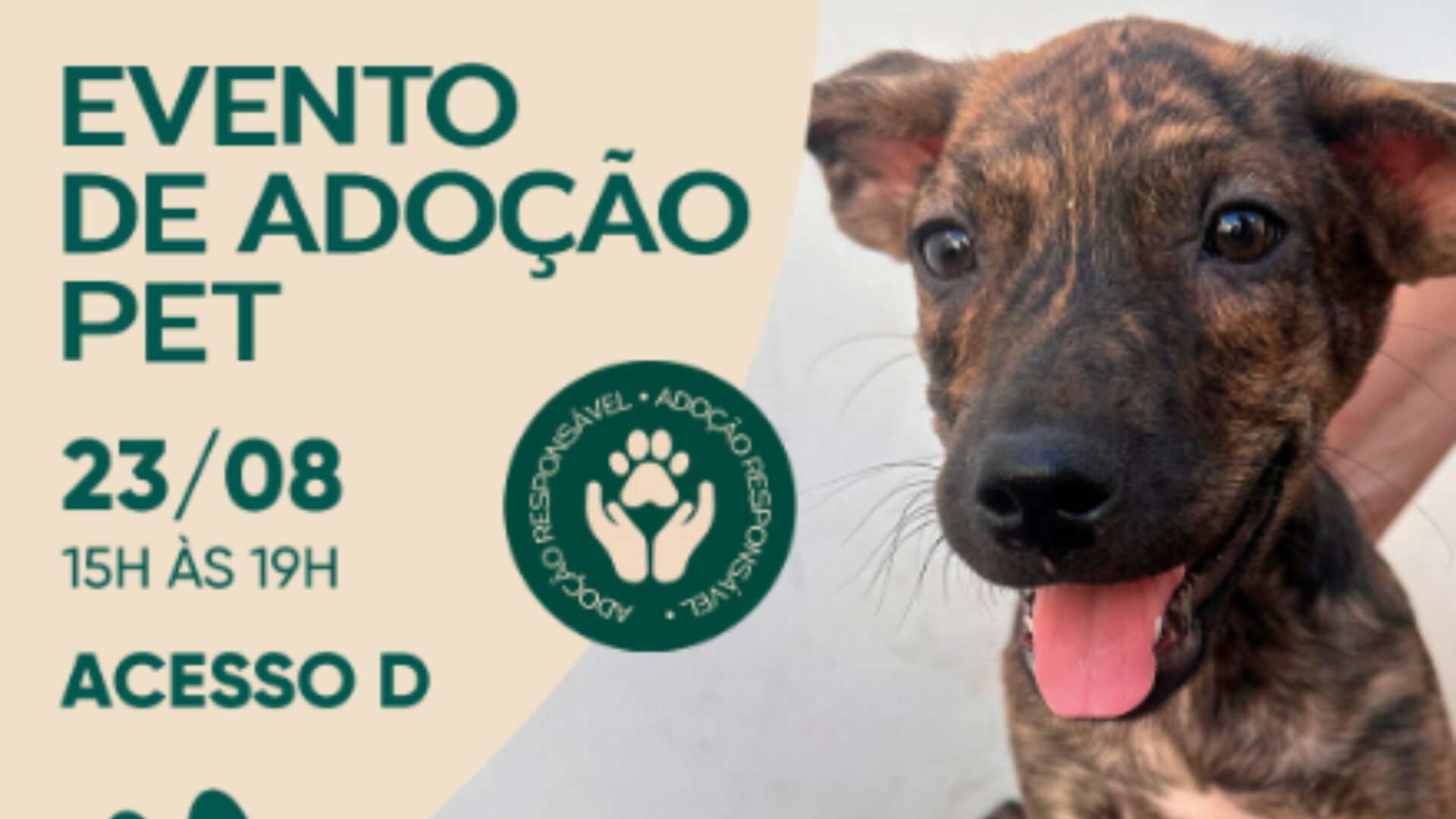 Pantanal Shopping promove evento de adoção pet e promete unir famílias em Cuiabá