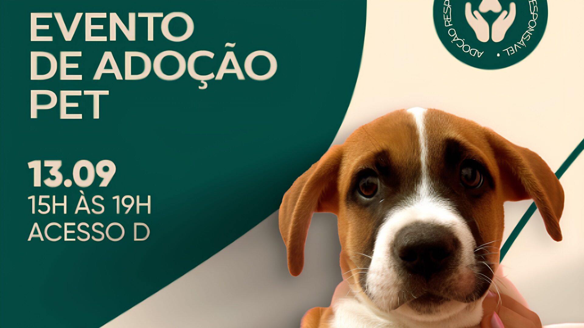 Adote um amigo no Pan: Animais à procura de amor e carinho no Pantanal Shopping