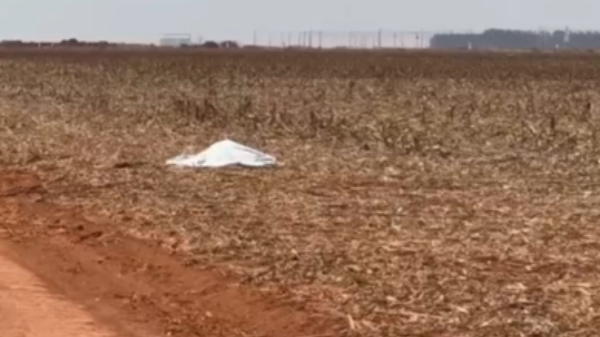 Transexual é sequestrada e encontrada morta em Campo Novo do Parecis