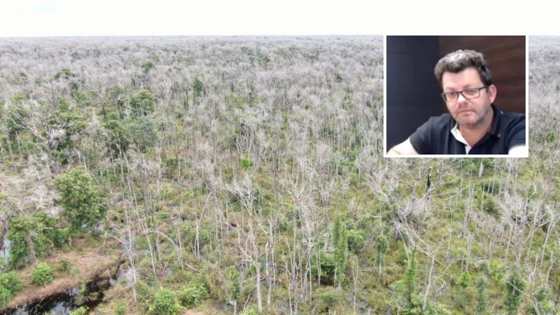 Pecuarista é condenado a pagar R$ 1 milhão por desmatamento no Pantanal