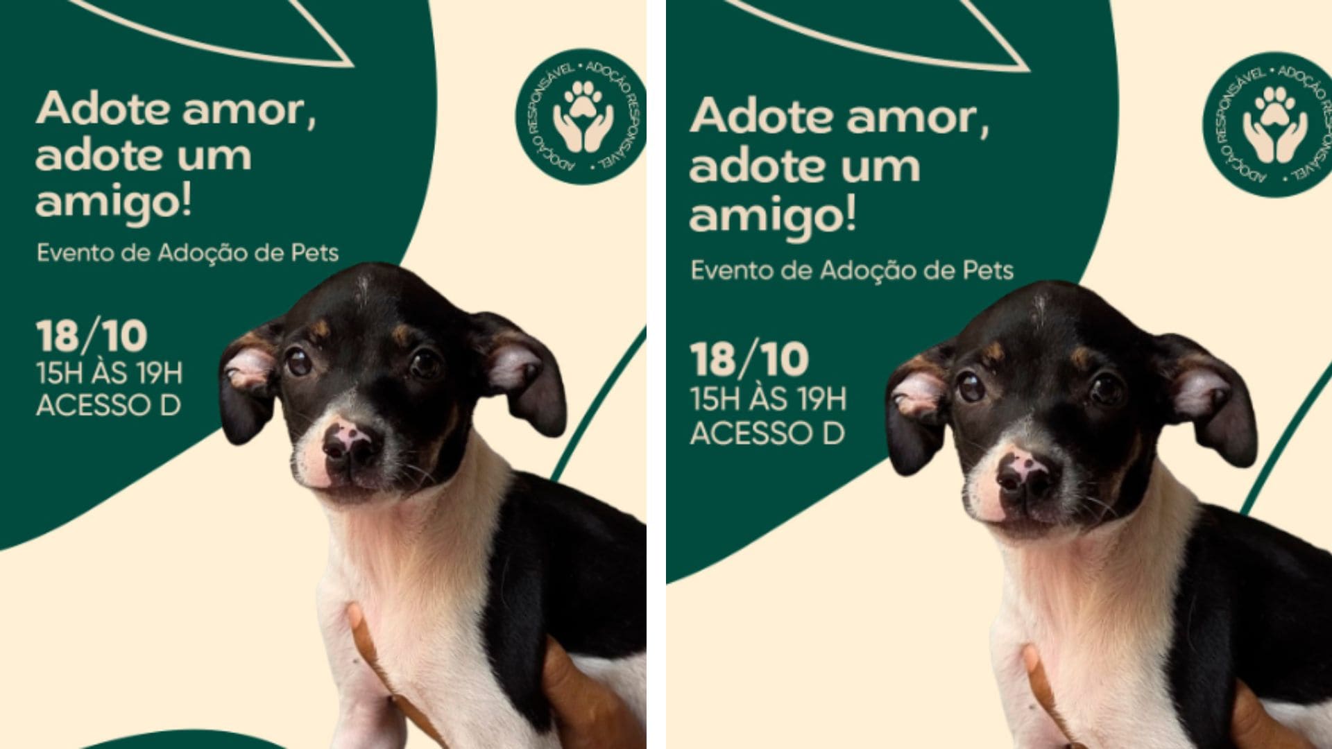 Adoção responsável: Pantanal Shopping recebe feira de animais em busca de lar
