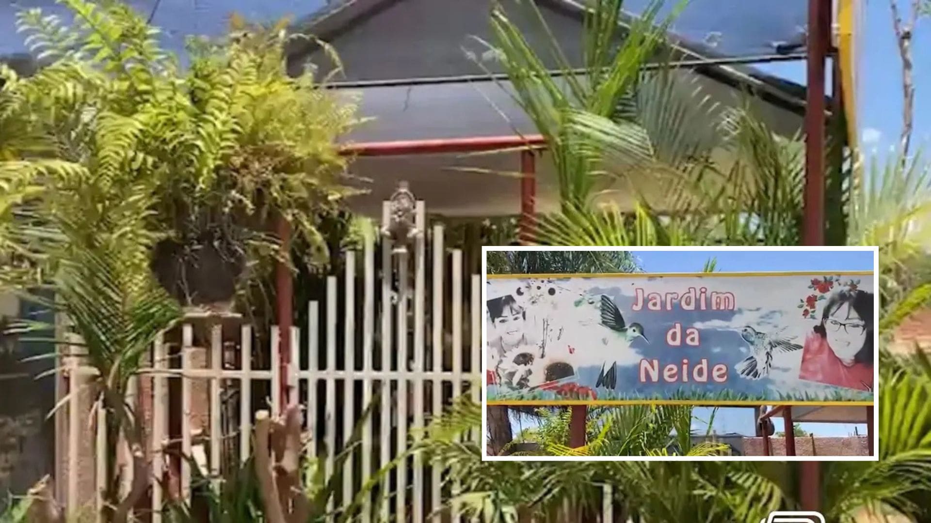 Jardim feito por viúvo em homenagem à esposa se mantém vivo além do Dia de Finados em Várzea Grande; veja vídeo