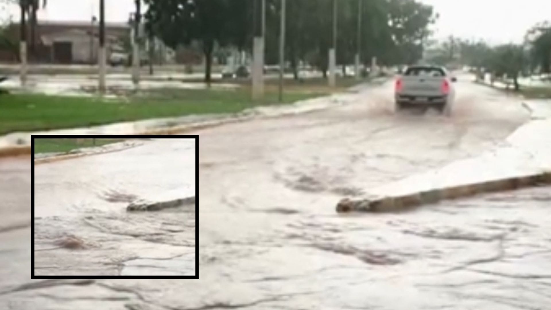 Rondonópolis registra quedas de árvores, alagamentos e placas arrancadas após chuva intensa; veja vídeo