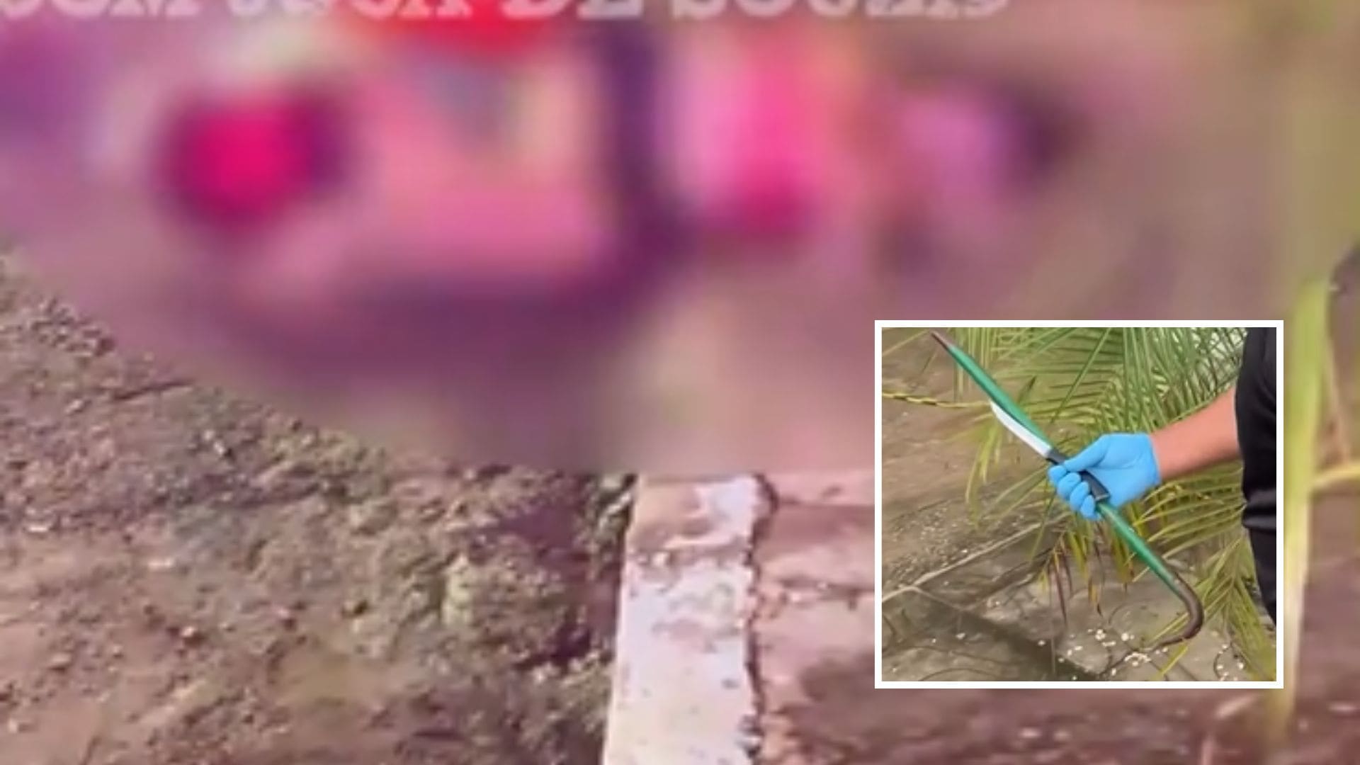 Após discussão e visita da PM, madrugada termina em feminicídio em Sinop; veja vídeo