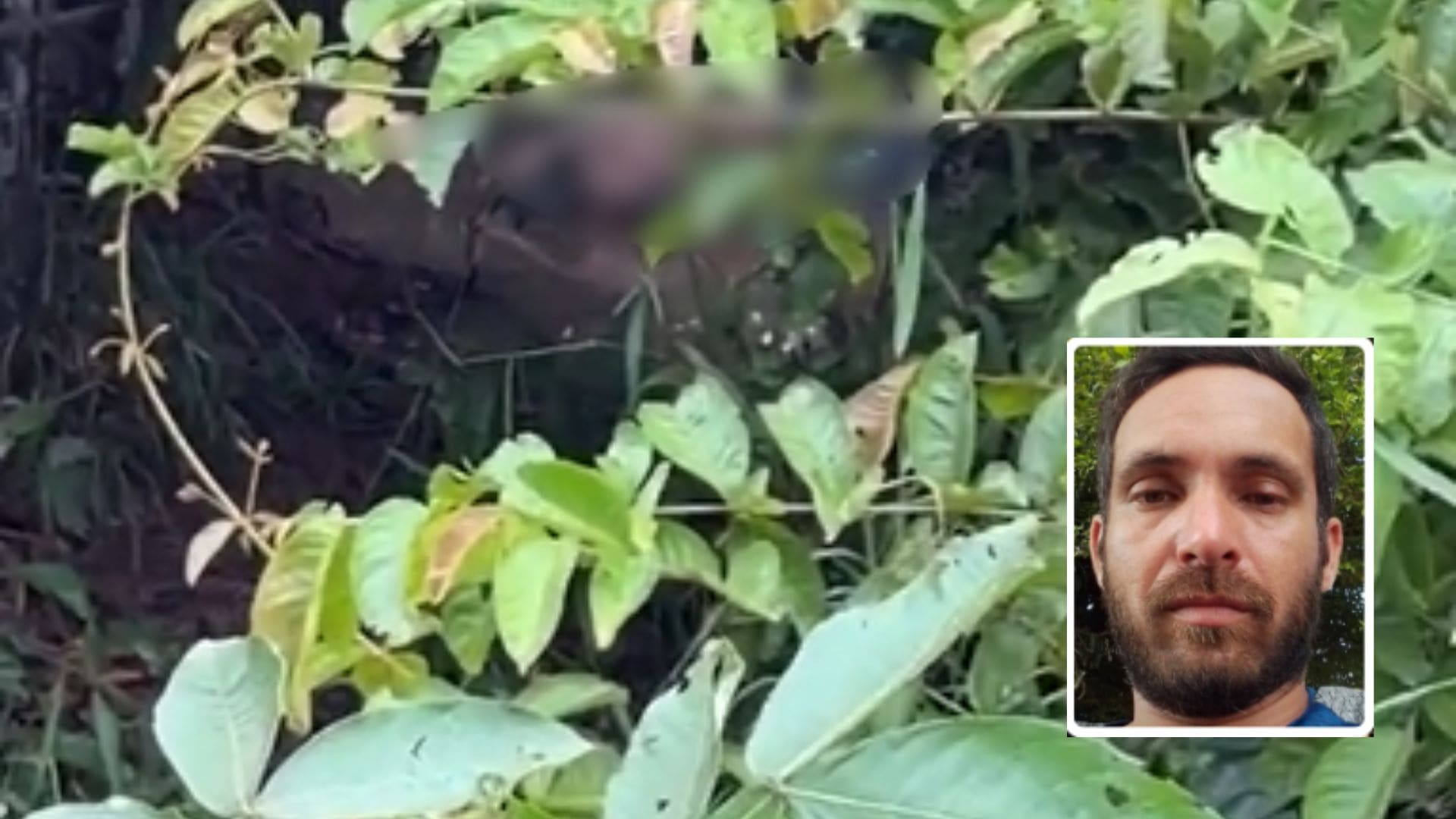 Corpo é encontrado decapitado às margens do Rio Guaporé em Pontes e Lacerda; veja vídeo