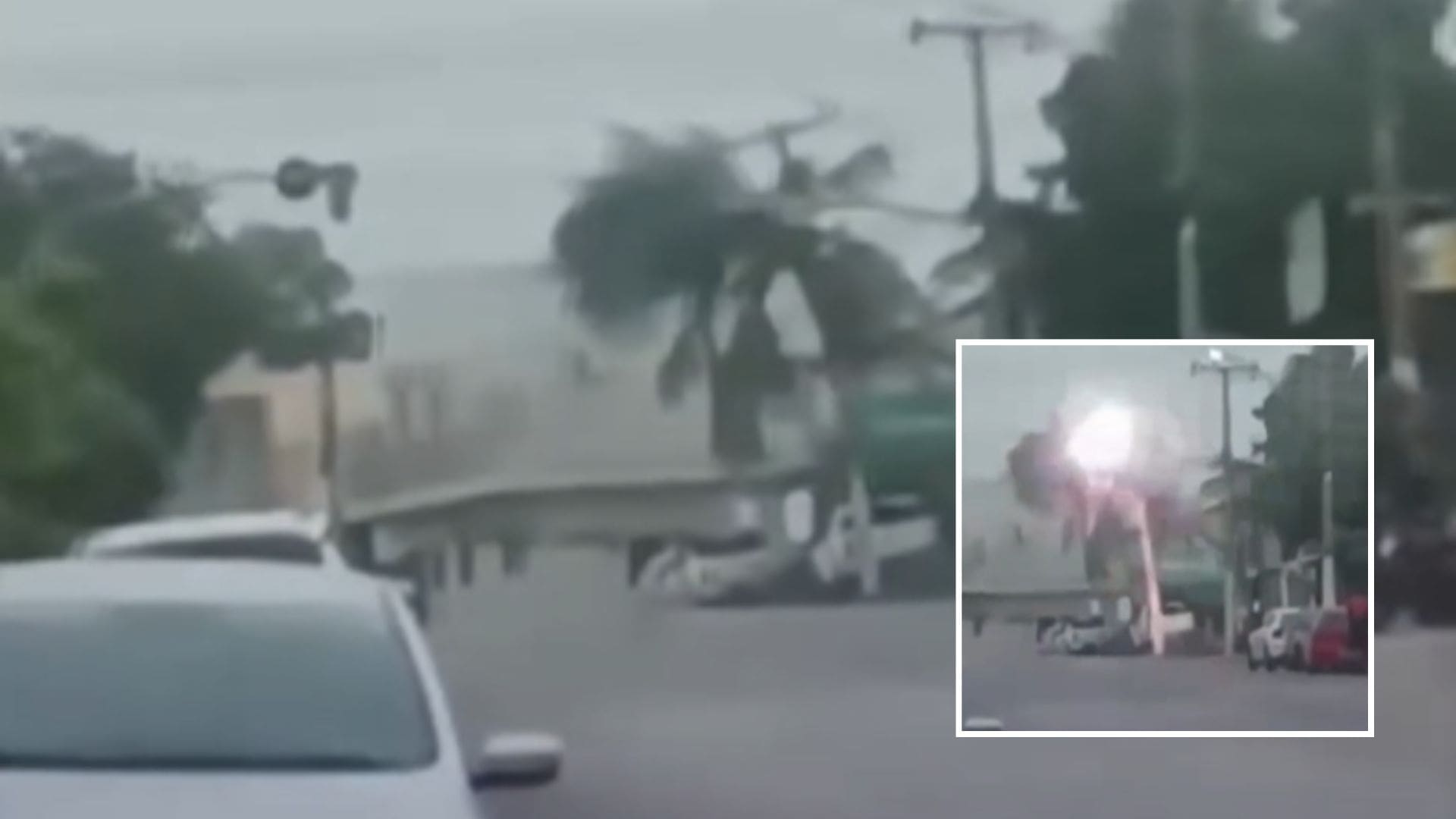 Coqueiro cai sobre fiação e causa curto-circuito em Rondonópolis; veja vídeo