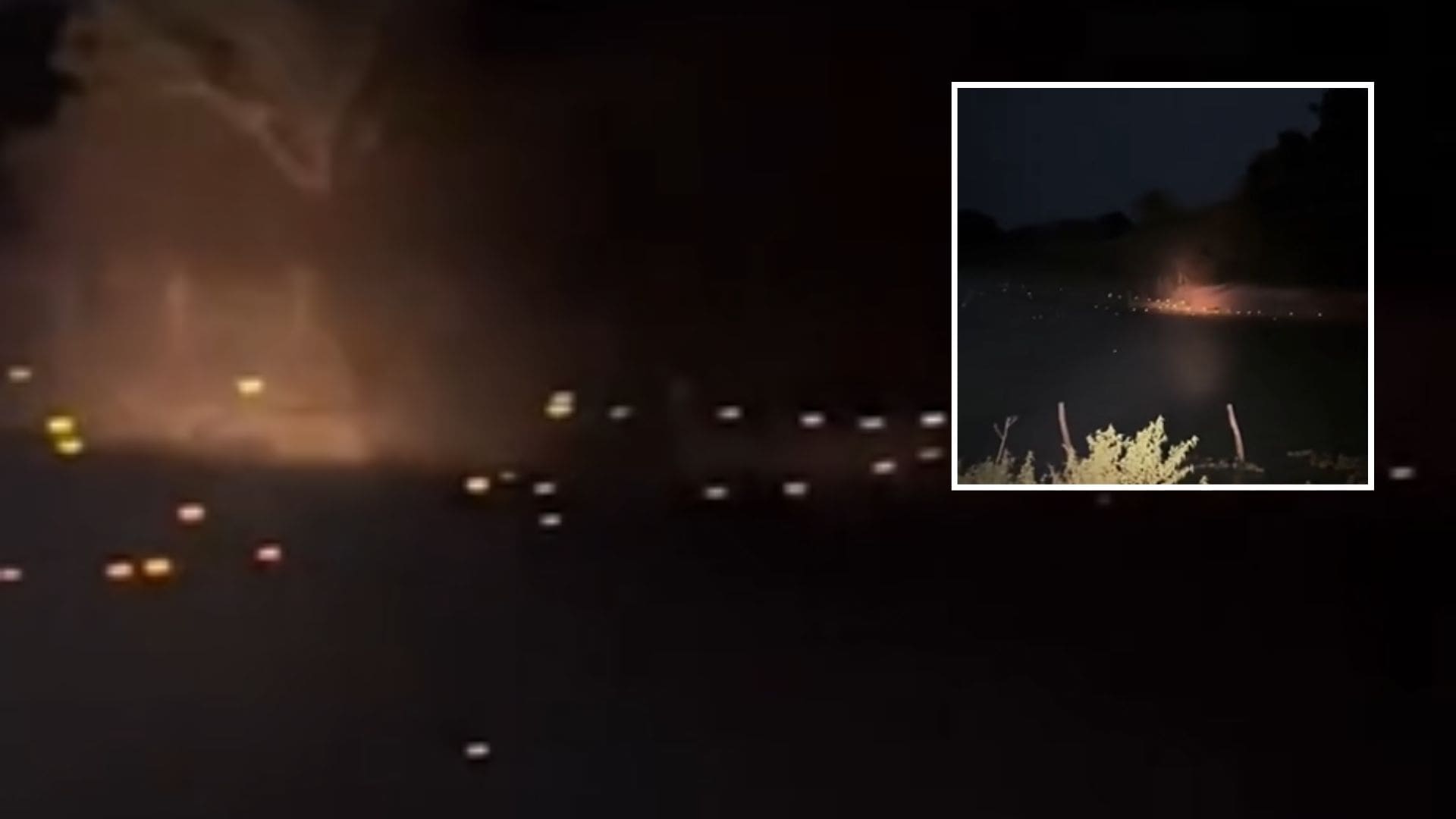 Luzes na água revelam dezenas de jacarés e transformam safari noturno no Pantanal em MT; veja vídeo