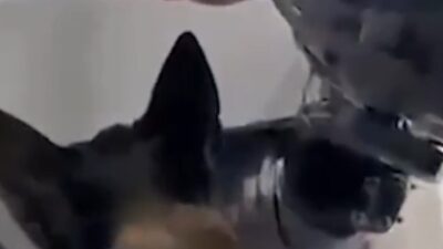 PF desarticula esquema do PCC que trazia cocaína da Bolívia; Veja vídeo