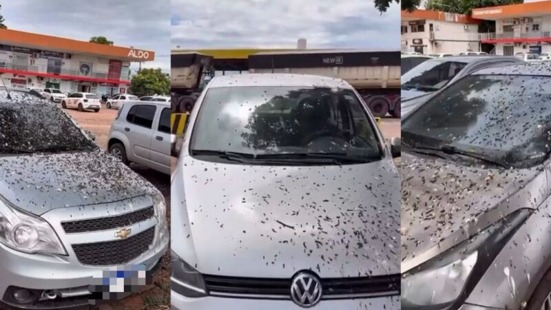 Vídeo mostra carros sujos por fezes de pássaros em posto de gasolina de Cuiabá; veja vídeo
