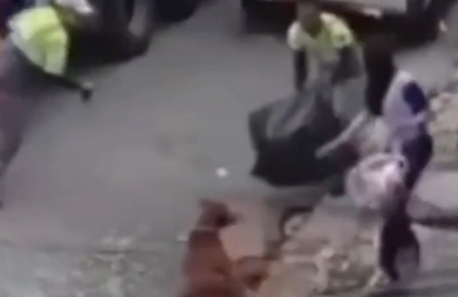 Funcionário da coleta de lixo perde parte do dedo após ataque de pit-bull; Veja vídeo