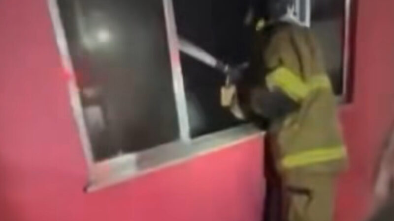 Incêndio atinge quadra da Unidos do Jacarezinho e destrói alas a dias do desfile; Veja vídeo