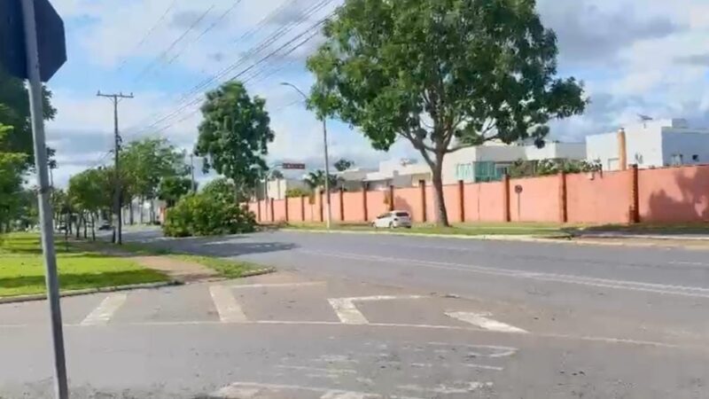 Árvore cai na avenida Érico Preza e complica trânsito em frente ao Parque Tia Nair; veja vídeo
