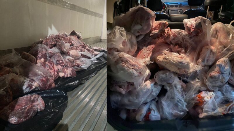 Polícia Civil recupera carga de carne furtada e prende 11 suspeitos após acidente na MT-235; veja vídeo