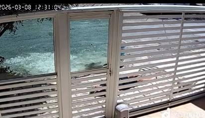 Morador morre após sofrer choque em fio de alta tensão que ficou horas caído na rua; Veja vídeo