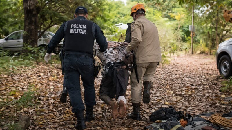 Jovem sobe em árvore durante fuga da polícia, passa horas sem conseguir descer, é resgatado e preso; veja vídeo