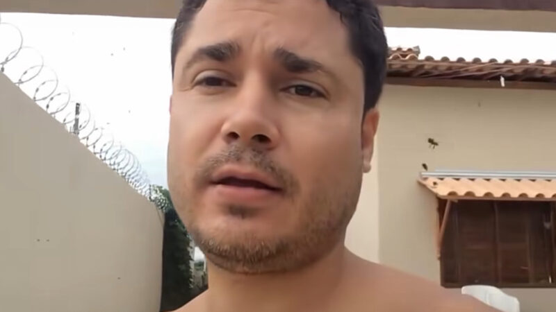 Vídeo mostra homem retirando enxame de abelhas de dentro de sofá e surpreende internautas; Veja vídeo