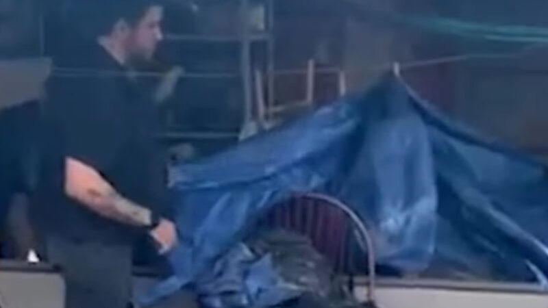 Desaparecimento leva polícia a descobrir homicídio com tortura; irmãos são presos; Veja vídeo