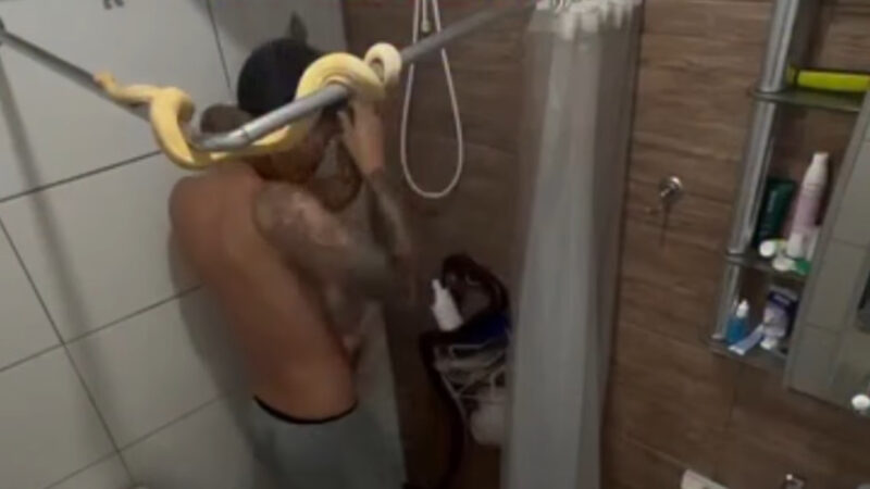 Mestrando toma banho com cobras dentro de casa e impressiona pela naturalidade; Veja vídeo