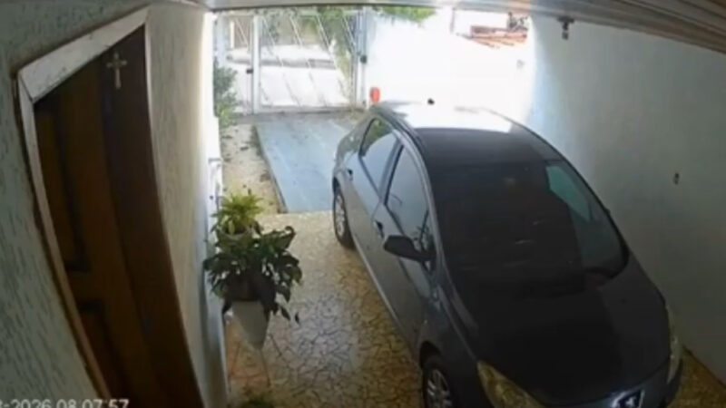 Onça-parda entra em garagem de casa e assusta idoso após rosnado; Veja vídeo
