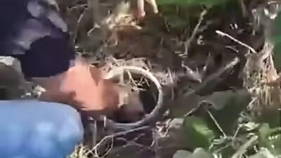 Esquema com drogas por barco é descoberto e dupla acaba presa em flagrante; Veja vídeo