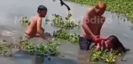 Jovem é atacada por jacaré e braço é mutilado em pântano; veja vídeo