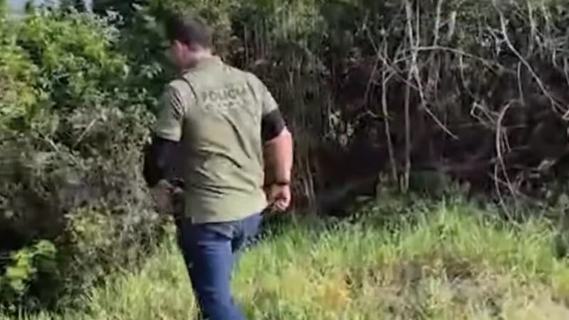 PCC usa Pix para ocultar dinheiro do tráfico e polícia prende grupo em operação