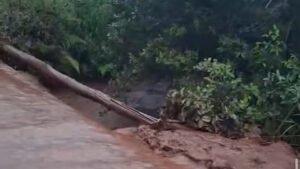 Temporal causa transbordamento em mineradora e sedimentos avançam sobre córrego; Veja vídeo