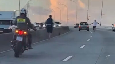 Cachorro perdido paralisa trânsito e motoristas tentam capturá-lo; Veja vídeo