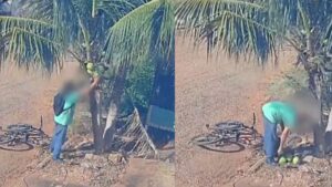 Câmera flagra homem furtando cocos em frente a residência em Rondonópolis; veja vídeo